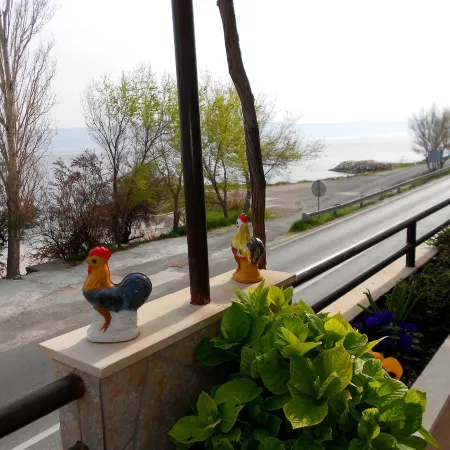 Apartments Anka 20m from the Beach
