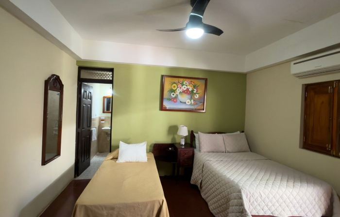 Hotel Vizcaíno León