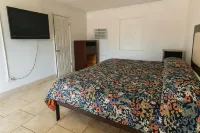 Antigua Motel by OYO Tampa US - 41 - Motels