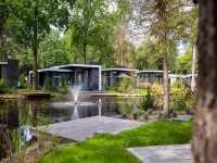 Forest-View Tiny House - 3-Star