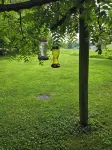 Mullins Log Cabin 1850s Rustic Cabin Near Ark  Sits on 5 AC15 Min to Ark - Chalets