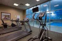 Holiday Inn SASKATOON DOWNTOWN by IHG - Gym