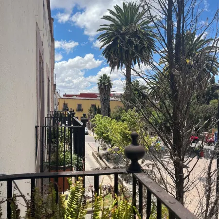 Casa del Pingorongo