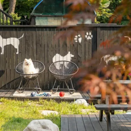 Geoje Yeoul Pet-Friendly Pension Отели рядом с достопримечательностью «Скала Синсондэ»