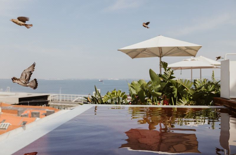 Memmo Alfama - Design Hotels