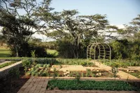 JW Marriott Mount Kenya Rhino Reserve Safari Camp - 5-Star