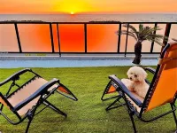 Tabinoteitaku Y-beach - Boutique