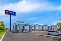 Comfort Inn Elko - Pool