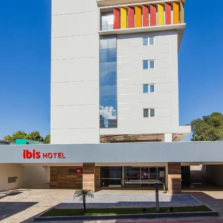 Ibis Erechim