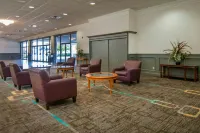Four Points by Sheraton Alexandria - فطور
