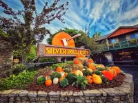 Cozy Ozarks Western Retreat ~ Couples & Small Family Friendly - Chalets