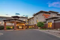Hampton Inn by Hilton Duluth Canal Park - Hot Tub