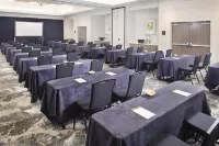 Hilton Garden Inn Dallas/Arlington South - Pet friendly
