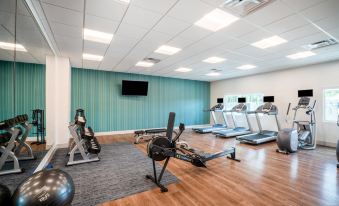 Holiday Inn Express & Suites Atlanta Airport NE - Hapeville