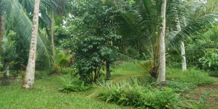 Privet Villa Nisala, Hikkaduwa,Srilanka