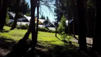 Casa Del Bosque Aparts -  Apartamentos vacacionales