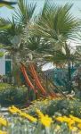 Hotel Esperia