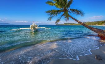 Tamaraw Beach Resort