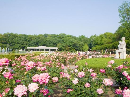 調布の深大寺自然広場 野草園周辺のホテル 22おすすめ旅館 宿 Trip Com