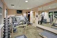 Holiday Inn & Suites SURREY EAST - CLOVERDALE by IHG - Gym