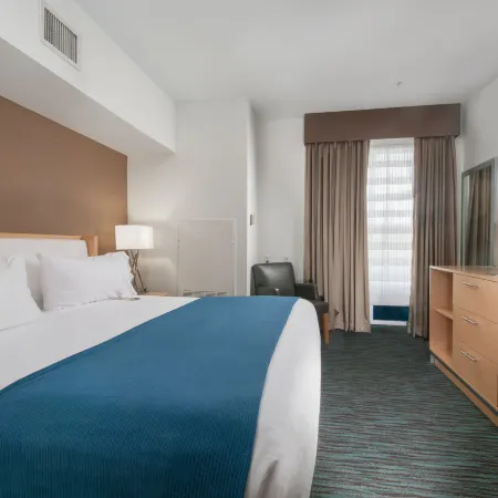 Holiday Inn Express & Suites SAN ANTONIO RIVERCENTER AREA by IHG