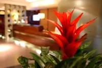 Holiday Inn Express Southampton M27, Jct.7 Hotels in Eastleigh District