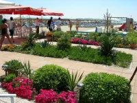 Hotel Tirrenia فنادق في Torre del Lago Puccini