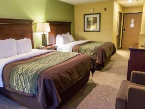 Comfort Inn Shreveport I-49