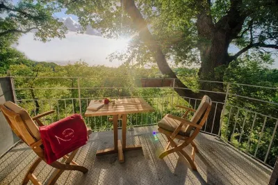 Gîte Domaine de Nazère Hotels in Avezan