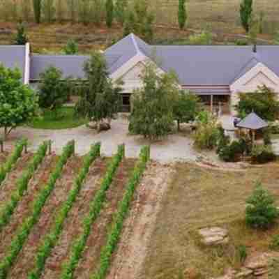 Hawkdun Rise Vineyard & Accommodation Hotel Exterior