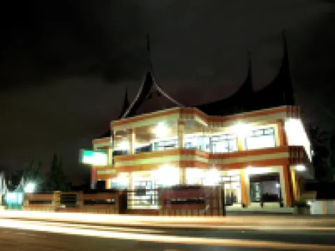 Nikita Palace Hotels in 