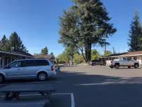 Kelseyville Motel - Motels