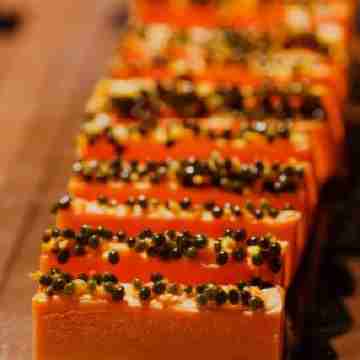 Santa Rosa Pantanal Hotel Dining/Meeting Rooms