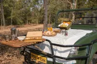 Baghvan Pench National Park - A Taj Safari Lodge - WiFi