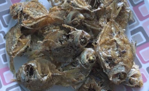 Dew Drop Inn Oceanside B&B - Housity