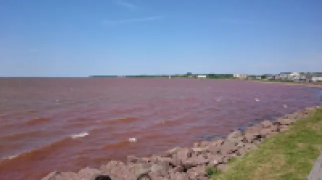 Driftwood Heights Bed & Breakfast