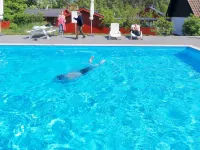 "Blakke" - 250m from the Sea - Swimmingpools