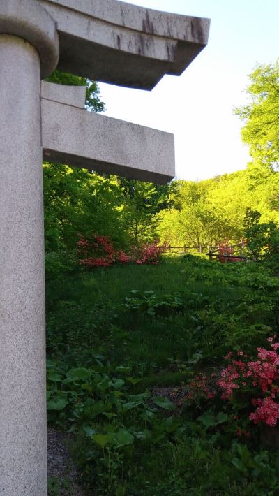 ホテル周辺 鶯宿温泉 長栄館の写真