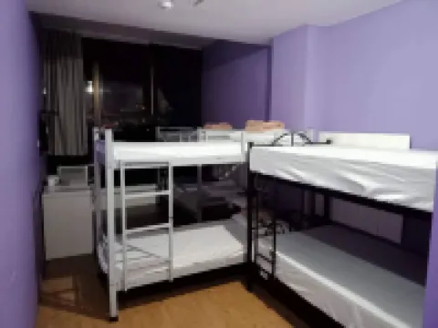 The Purple Tree Hostel