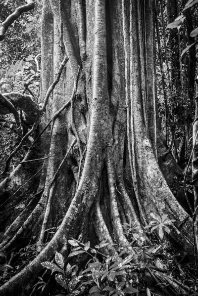 施設外観 ザ･ダタイ ランカウイの写真