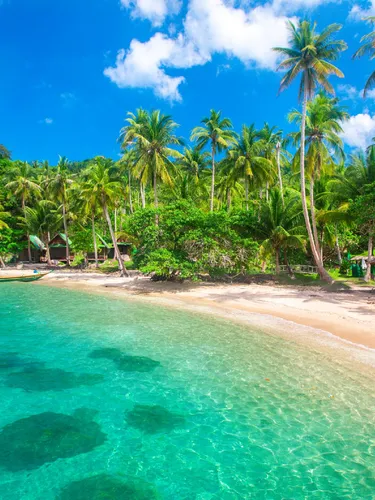 รูปภาพของสกายเพิร์ล เกสต์เฮ้าส์ แอนด์ คาเฟ่