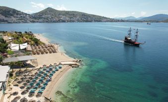 Oceanic Overview Suites