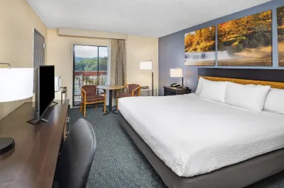 Days Inn by Wyndham Waynesville NC Hotels in Lake Junaluska