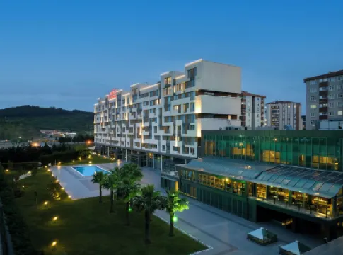 Miracle Istanbul Asia Airport Hotel & Spa Hotels near Hermandere