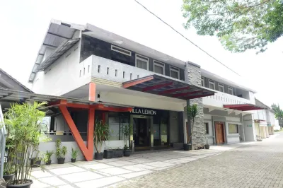 Villa Lemon Hotels in Jayagiri