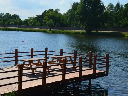 Kemp stribrny rybnik