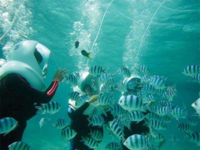 その他 リザンシーパークホテル谷茶ベイの写真