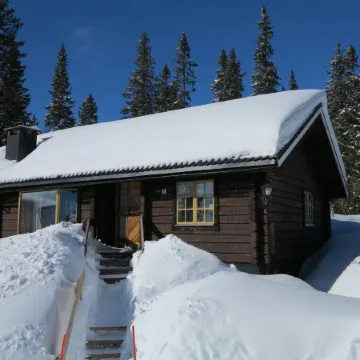 Korpstigen Älgen