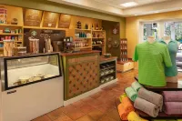 Hyatt Vacation Club at Coconut Cove - 4-Star