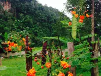 Chiang Dao Hut - bar